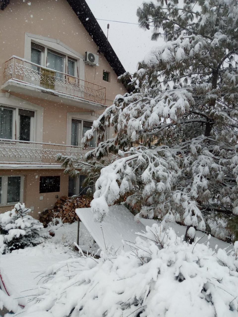 Hostel Bata Kanjiža Екстериор снимка