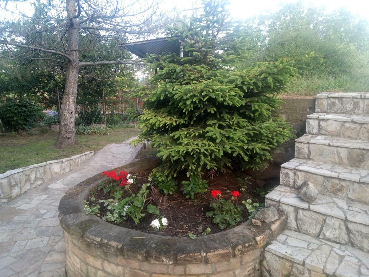 Hostel Bata Kanjiža Екстериор снимка